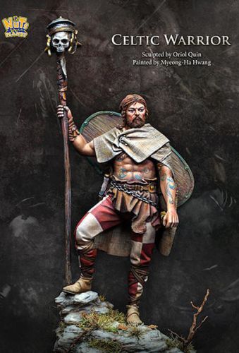 Celtic Warrior